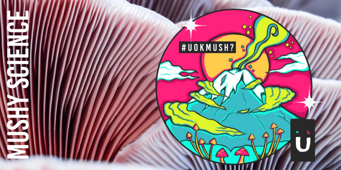 Mushroom Banner