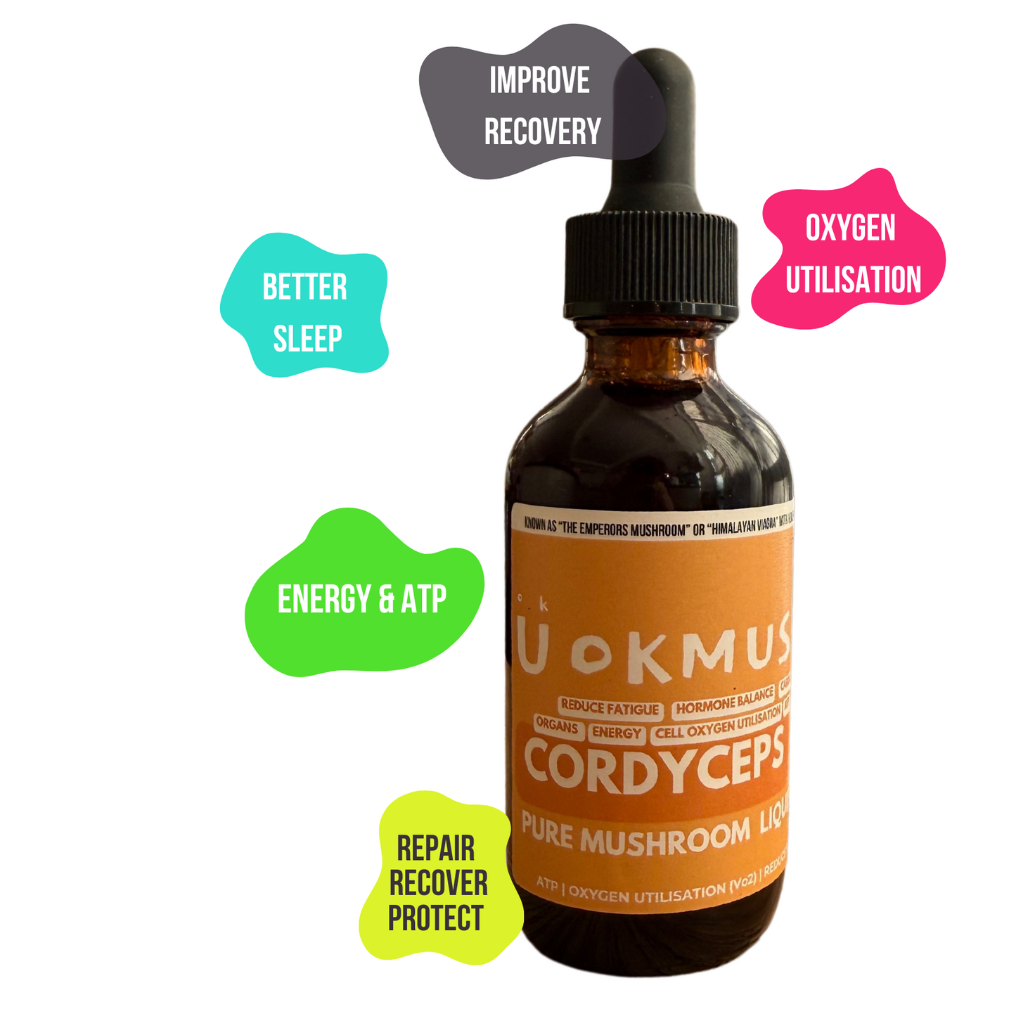 🪸 Pure Cordyceps Mushroom Supplement Extract: Organs, Immunity, Energy, Performance, Recovery & Stamina 🫁 60x 1000mg Servings