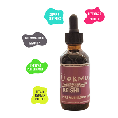 🍄‍🟫 Reishi Mushroom Liquid Extract Alcohol Free: Immunity, Gut Bacteria, Anti-viral, Protection & Destress 🛡️ 60x 1000mg Servings