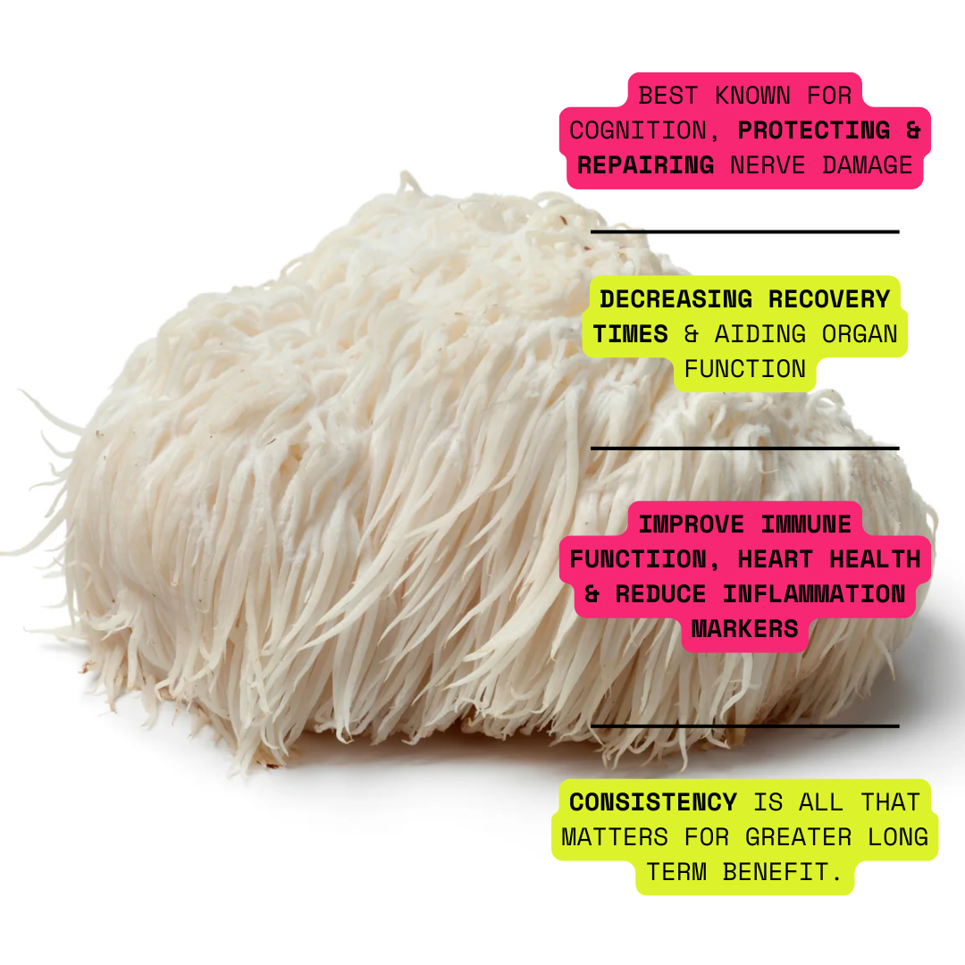 Lions Mane Triple Extract 1/mo.
