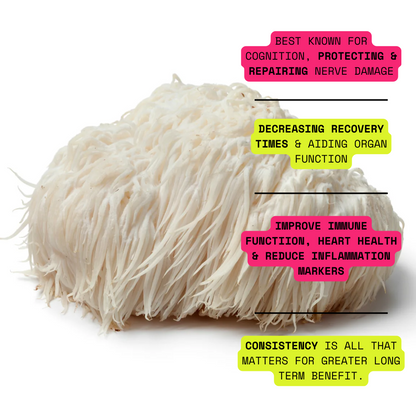 Lions Mane Triple Extract 1/mo.