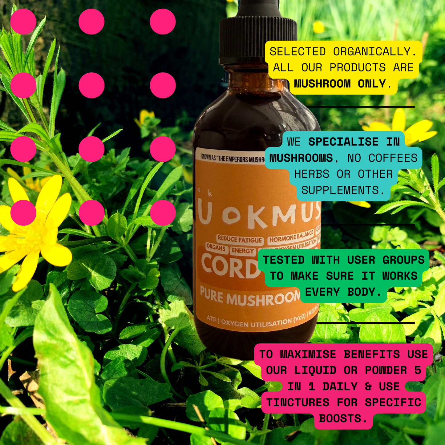 🪸 Pure Cordyceps Mushroom Supplement Extract: Organs, Immunity, Energy, Performance, Recovery & Stamina 🫁 60x 1000mg Servings