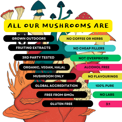 Chaga, Cordyceps, Lions Mane, Turkey Tail & Reishi 1/mo.
