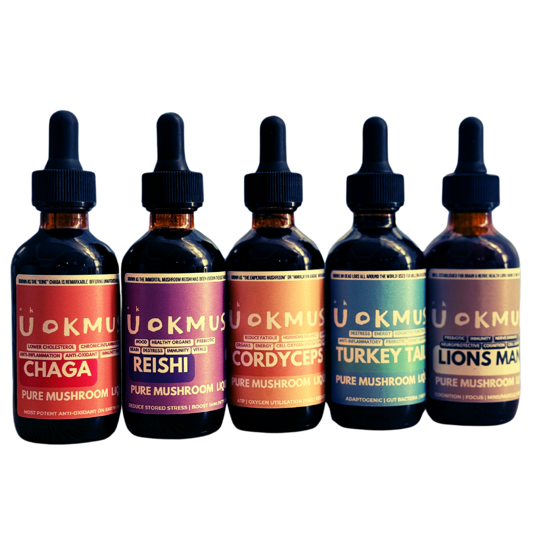 Chaga, Cordyceps, Lions Mane, Turkey Tail, Reishi Tincture Set